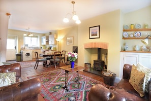 TV, fireplace, DVD player, books