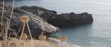 Lettini da mare
