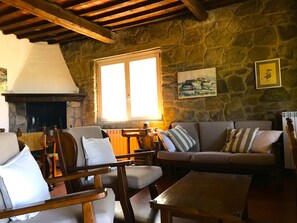 Televisio, takka, DVD-soitin, kirjoja