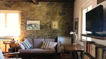 TV, fireplace, DVD player, books