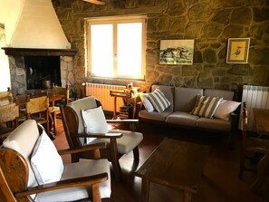 TV, lareira, DVD player, livros