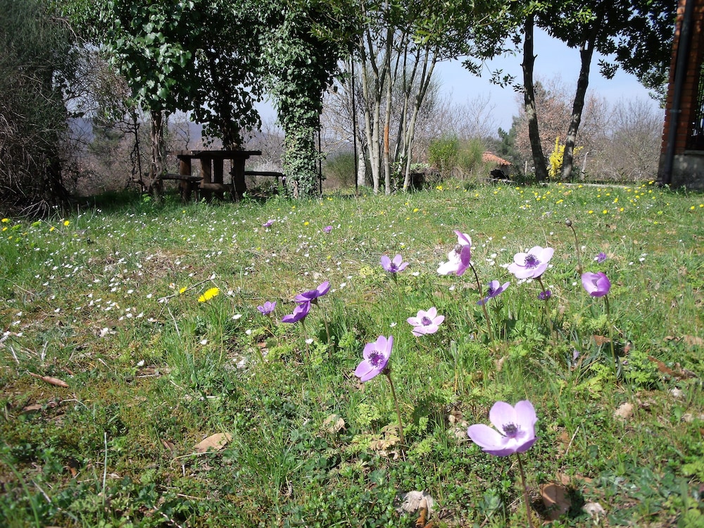 Casa / Villa / Chalet - Monte San Savino - Monte San Savino