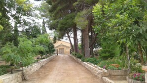 Un sendero de tierra que conduce a una construcción rústica rodeada de abundante vegetación y muros de piedra.
