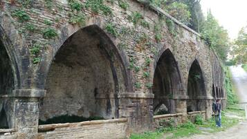 Un antiguo puente de piedra con arcadas, cubierto de vegetación.