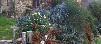 Romantic cottage with swimming pool