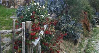 Romanttinen mökki, jossa on uima-allas