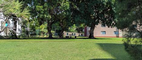 A grassy area with trees and a building in the background.