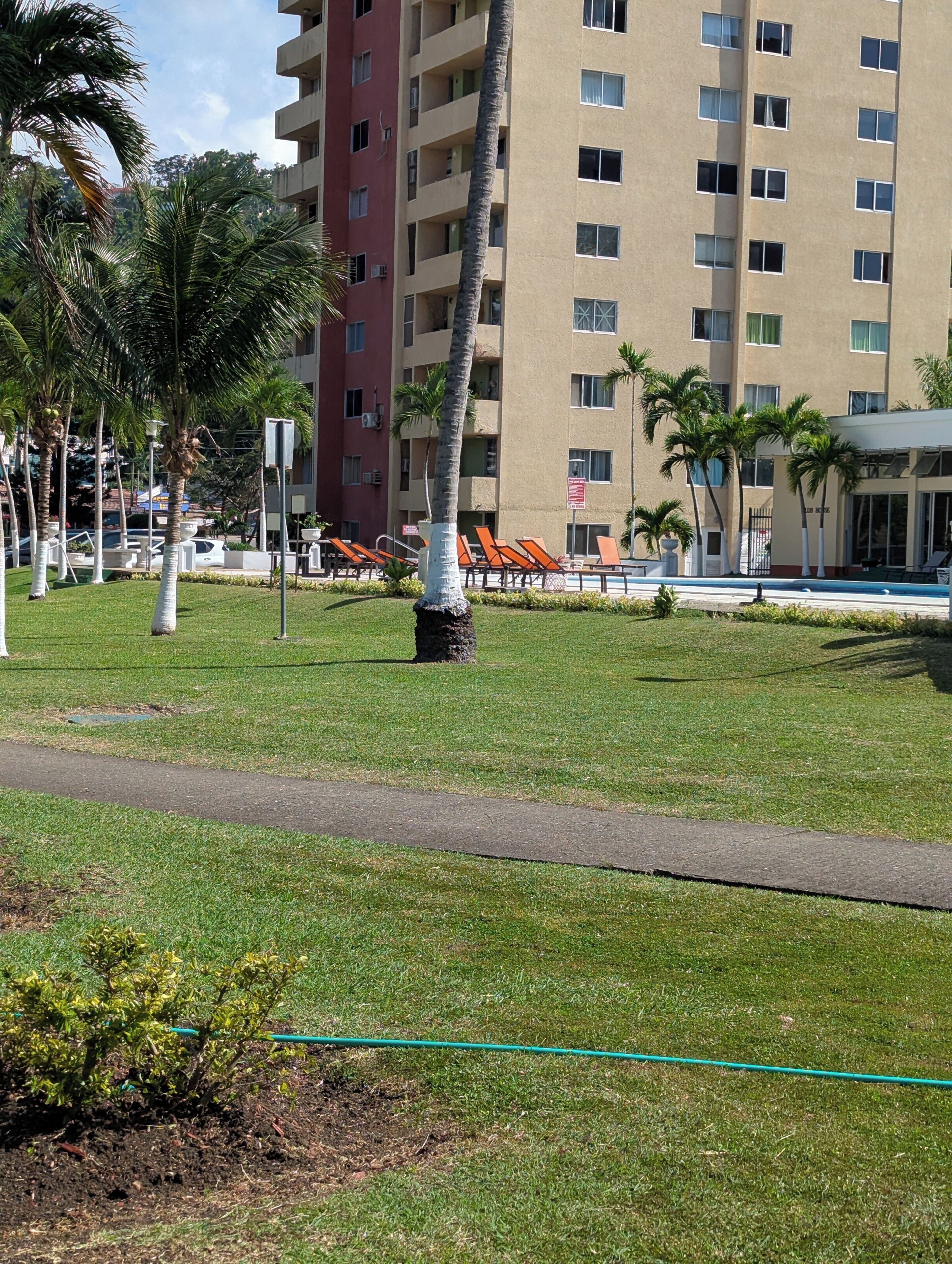 Un'area verdeggiante con palme, una piscina e un edificio a più piani con balconi.