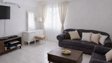 智能電視、DVD 播放機