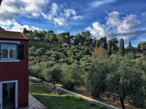 Property grounds - Relax in the olive trees -5km from the center of Imperia -Appartament Corbezzolo (Imperia)