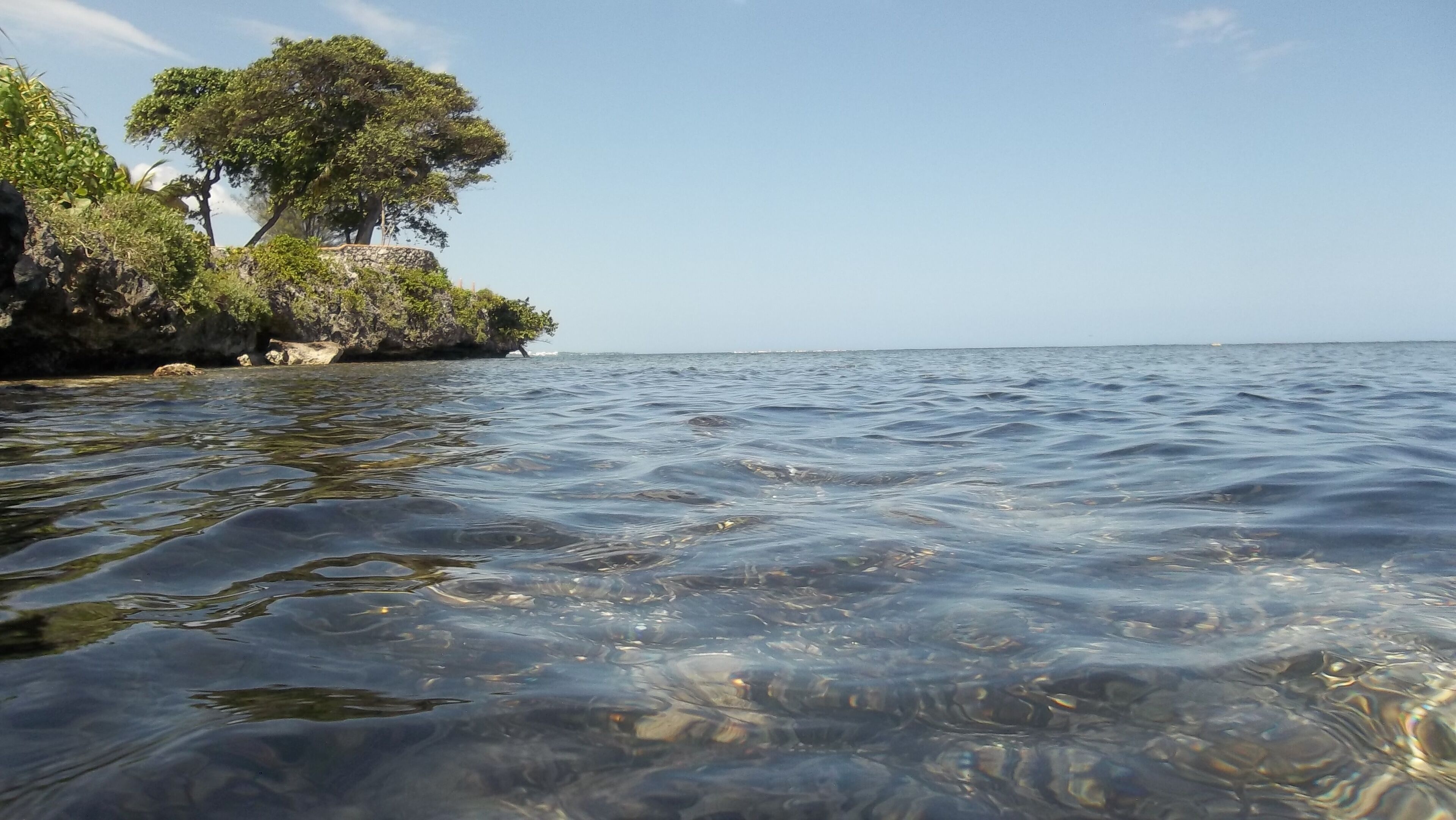 A coastal scene with clear water, a rocky shoreline, and a tree-covered cliff.