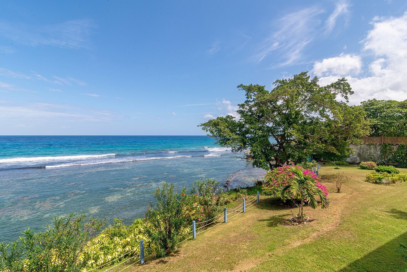 A coastal property with a view of the ocean, a grassy lawn, and a variety of trees and shrubs.
