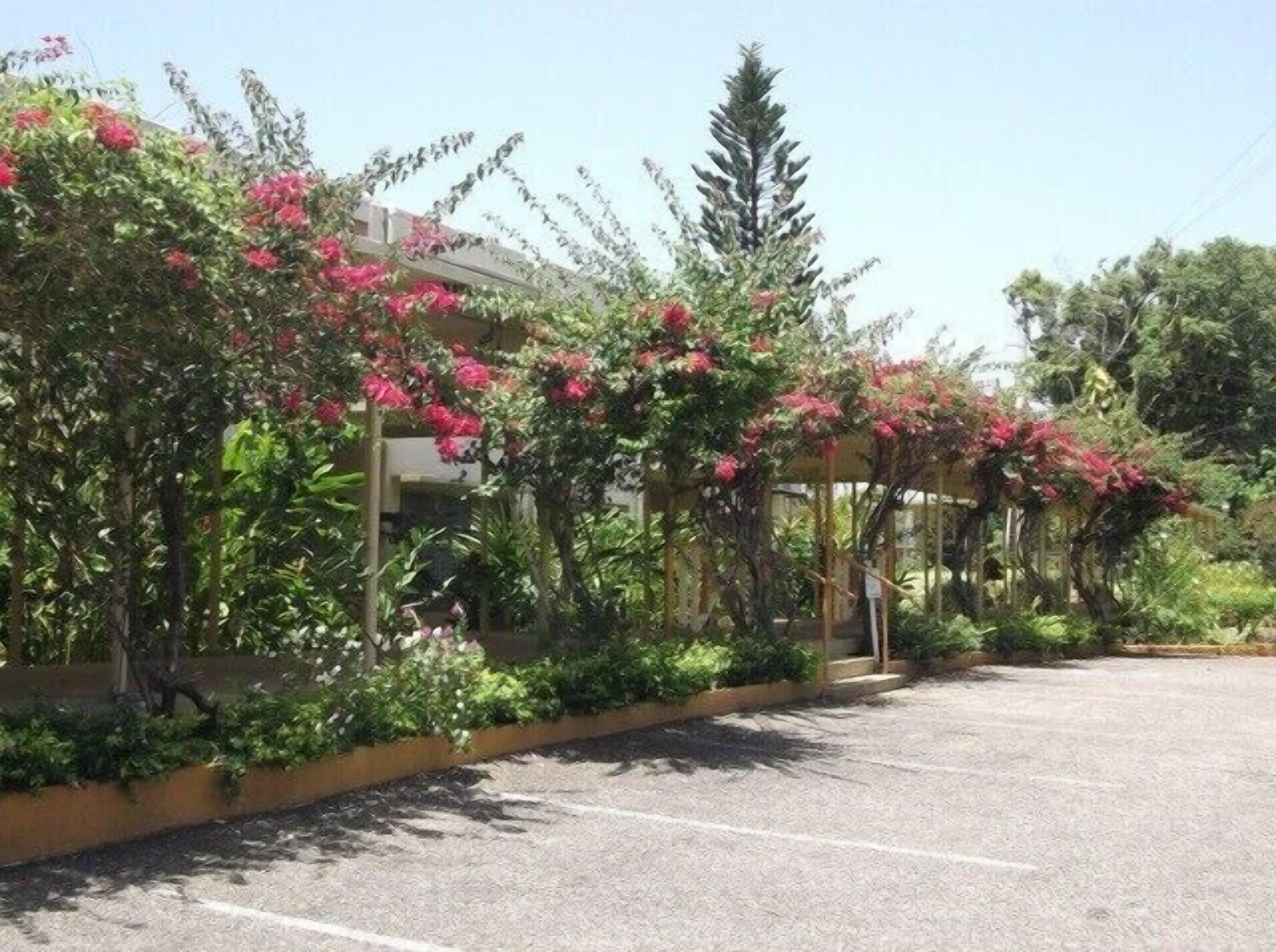 A parking lot adjacent to a building with a covered walkway.