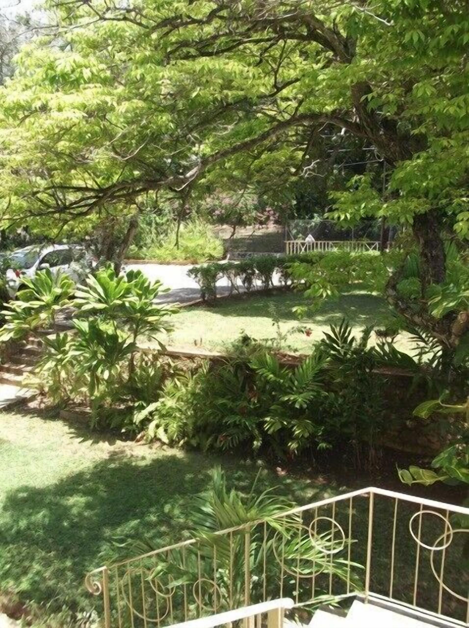 A lush garden with various plants and a metal railing.