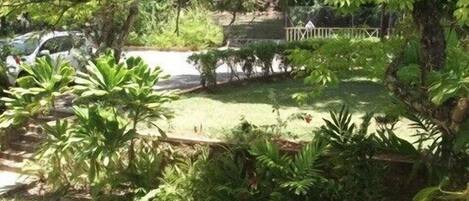 A lush garden with various plants and a metal railing.