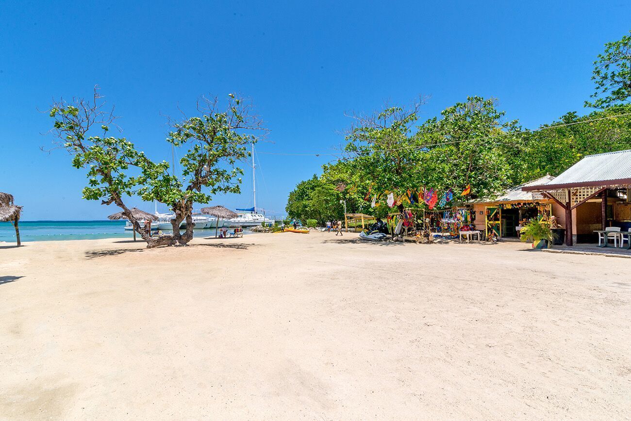 Ein Strand mit blauem Himmel, einigen Bäumen und einem kleinen Gebäude mit einem Reetdach.