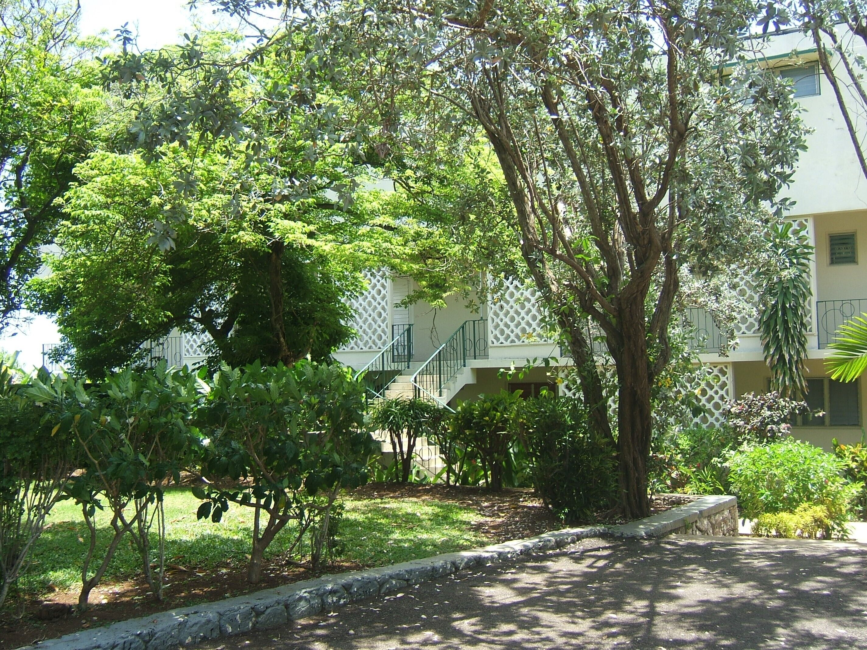 A building with a white exterior, surrounded by lush greenery and trees.