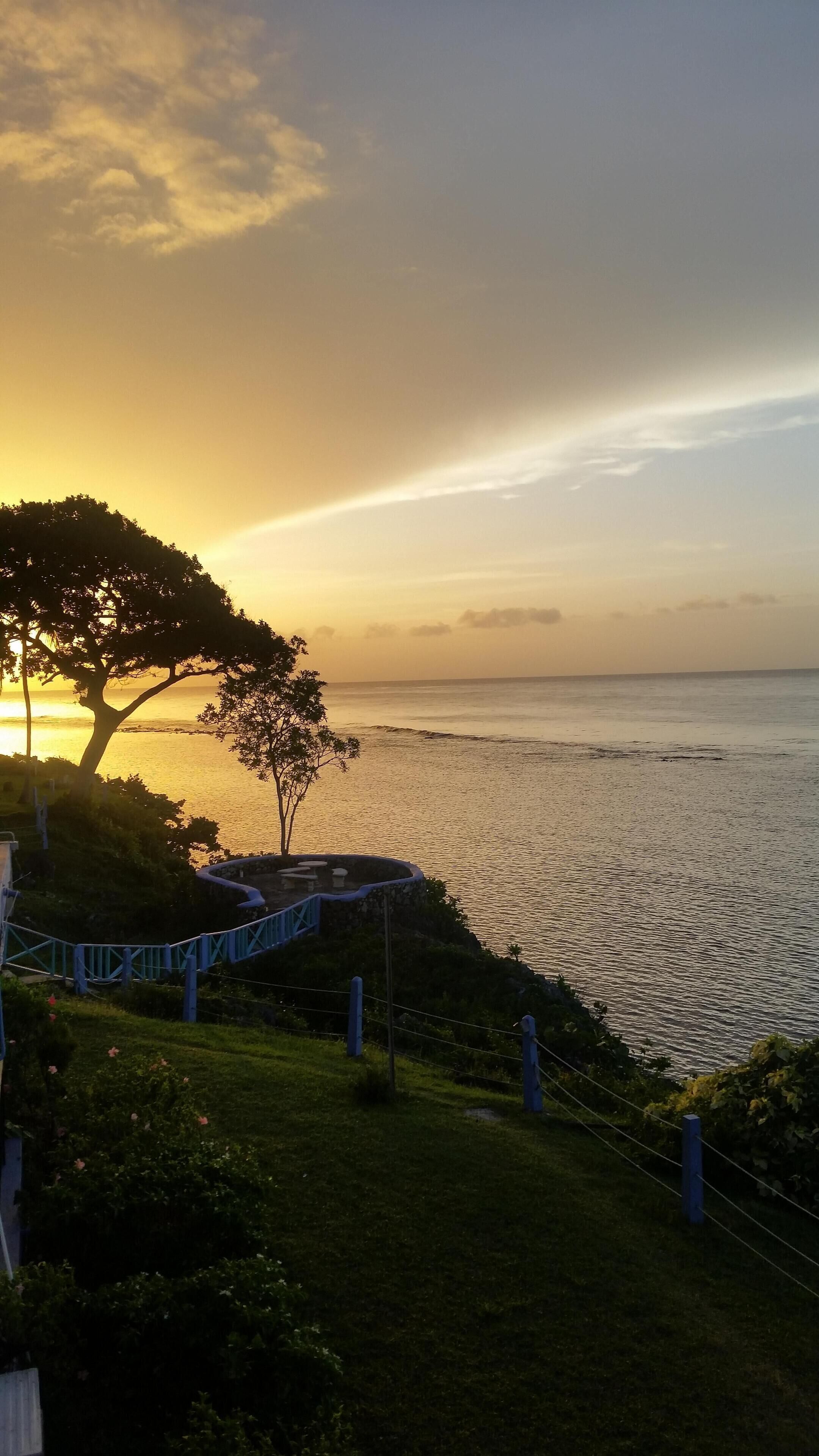 A coastal view with a tree and a blue bridge.