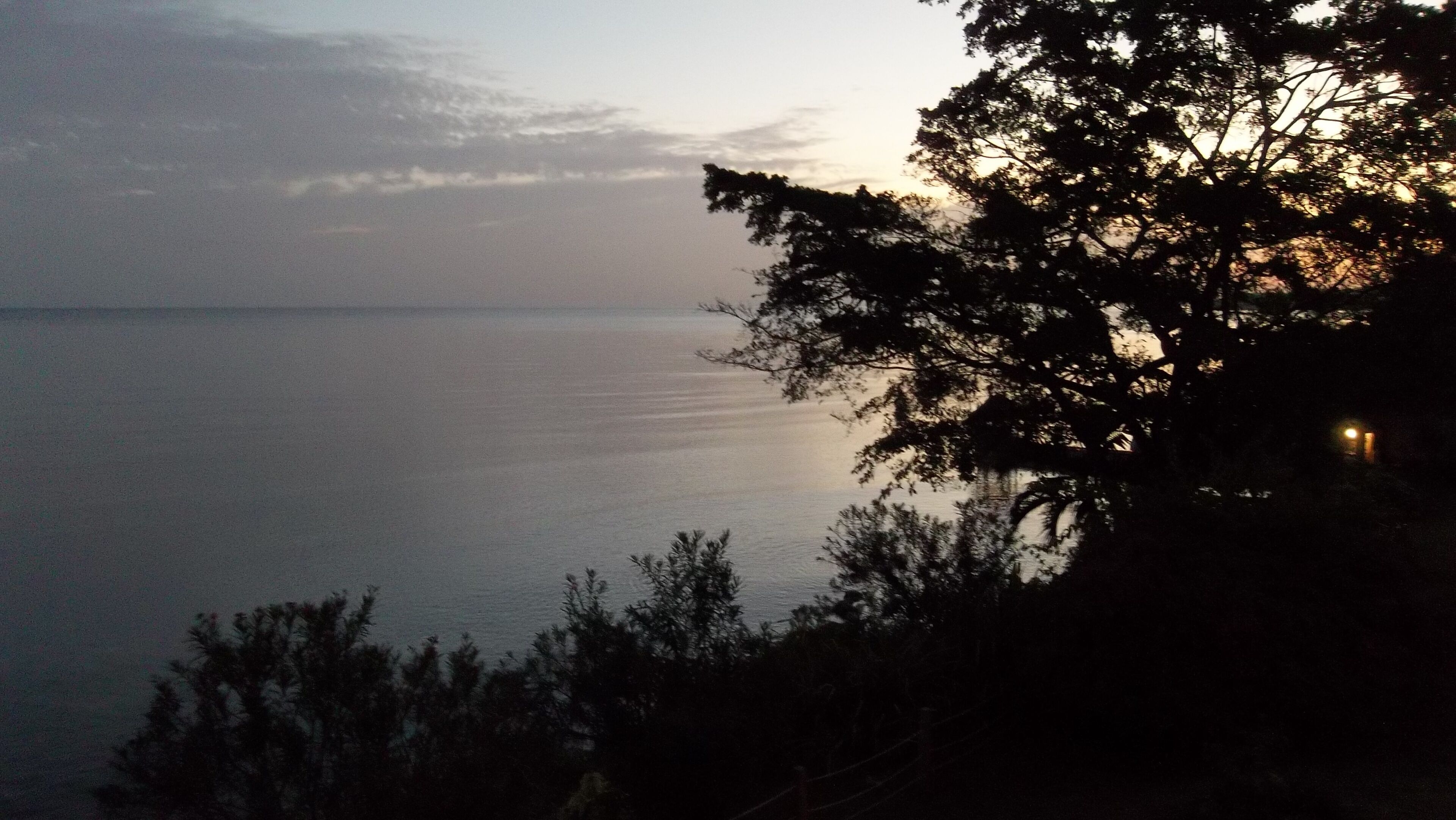 Una vista d'una calma massa d'aigua, amb un arbre en primer pla i un horitzó llunyà.