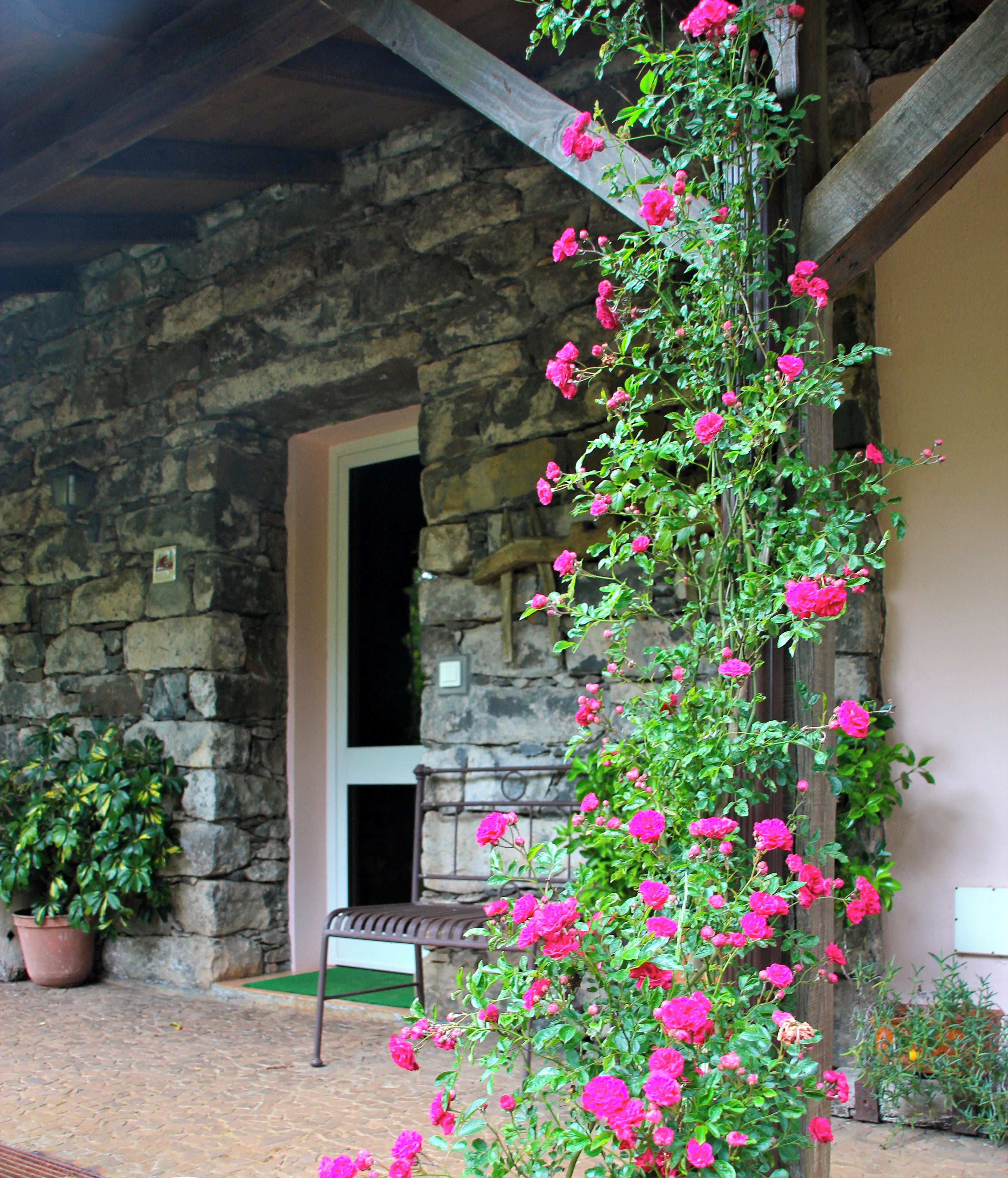 Ein Steinhaus mit einer hölzernen Bank und einem Blumentopf.