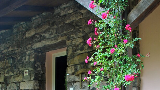 Ein Steinhaus mit einer hölzernen Bank und einem Blumentopf.