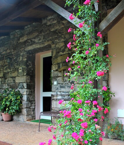 Quinta do Pântano is a calm and reserved place, with unique ambience and landscapes