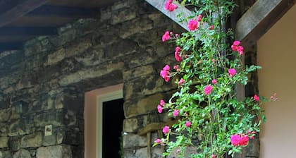 Quinta do Pântano is a calm and reserved place, with unique ambience and landscapes