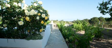 Overnattingsstedets uteområder