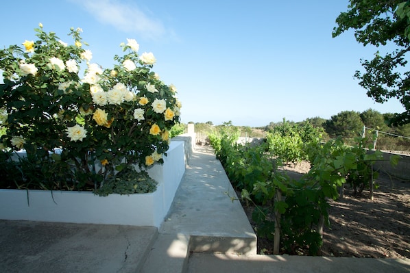 Overnattingsstedets uteområder