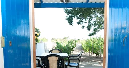 Tranquila casa situada en el punto mas alto de Formentera