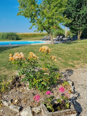 Outdoor pool, a heated pool, pool loungers