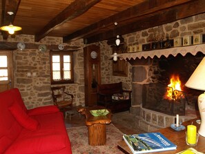 テレビ、暖炉、DVD プレーヤー、書庫