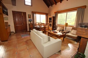 تلفزيون ذكي، مشغل دي في دي، ستيريو