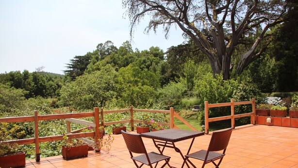 Un patio al aire libre con una mesa y sillas de madera, rodeado de plantas en macetas y una valla de madera.