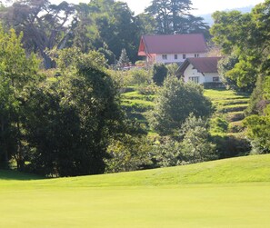 A rural landscape with a house surrounded by lush greenery and rolling hills. - Quinta do Pântano is a calm and reserved place, with unique ambience and landscapes (Machico)