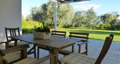 Villa L'Ulivo Meister