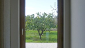 A door with a view of a tree and a grassy area.