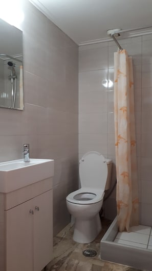 Combined shower/bathtub, hair dryer, towels, soap