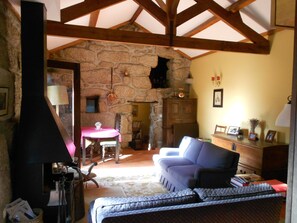 Televisión, chimenea, reproductor de DVD y libros
