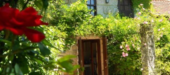 Gatao: Cottage in the begining of Douro very cosy and peaceful