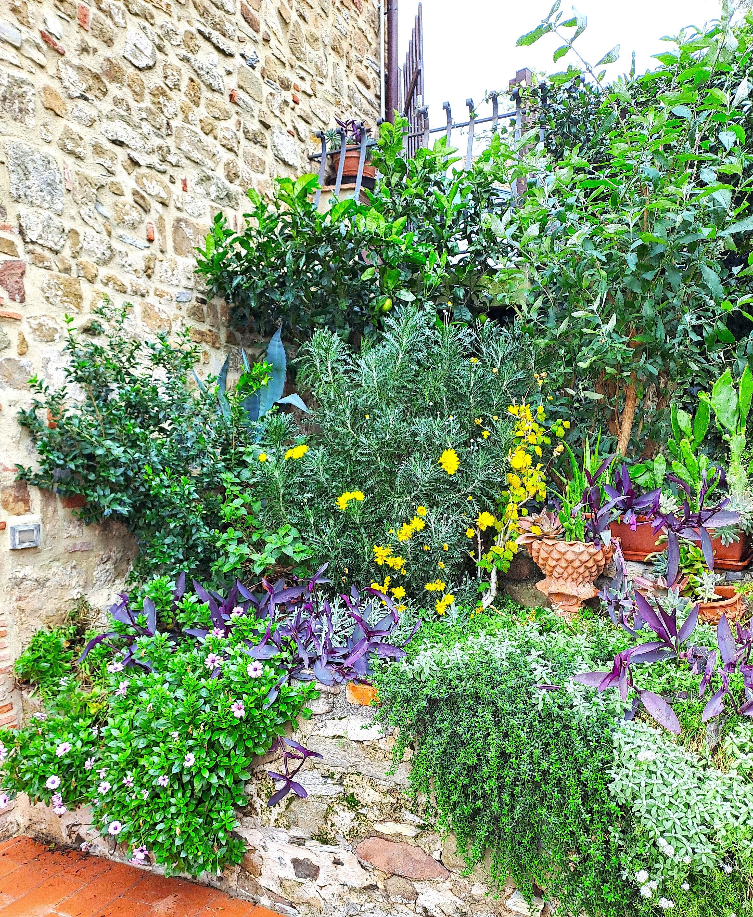 Parco della struttura