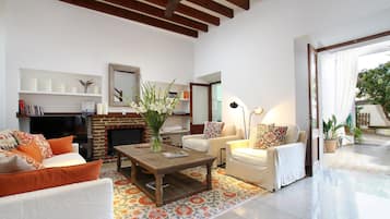 Télévision, cheminée, livres, chaßne hi-fi