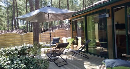Das schöne Ferienhaus unter den Kiefern / 2 Fahrräder
