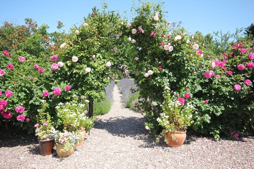 Stable Cottage, Sleeps 4  Cosy, characterful original Features,Quantock Hills UK