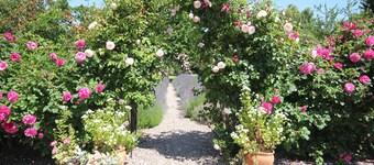 安定したコテージ、4眠る居心地の良い、個性的なオリジナル機能、Quantock Hills UK