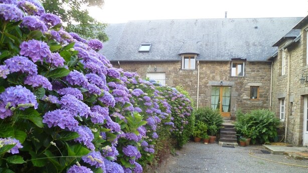 Un edificio de piedra con un camino de grava y una fila de arbustos de hortensia morados.