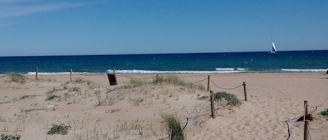 Playa en los alrededores