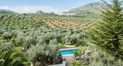 APARTMENT IN ECOLOGICAL AGROTURISMO PLACED IN THE GEOGRAPHICAL CENTER OF IDEAL ANDALUSIA FOR EXCURSIONS FOR ANDALUSIA