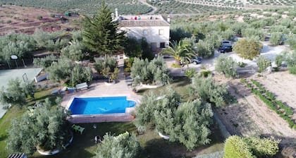 AGROTURISMO BIO EL CORTIJILLO Centro Andalucia ideal para conocer Andalucia