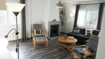 TV connectée, cheminée, lecteur de DVD, livres